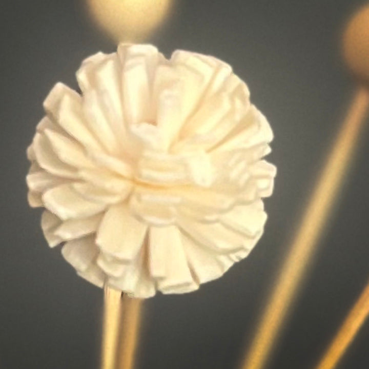 Ballflower Rattan Reed Allium (ball flower) – MAD SWANZ