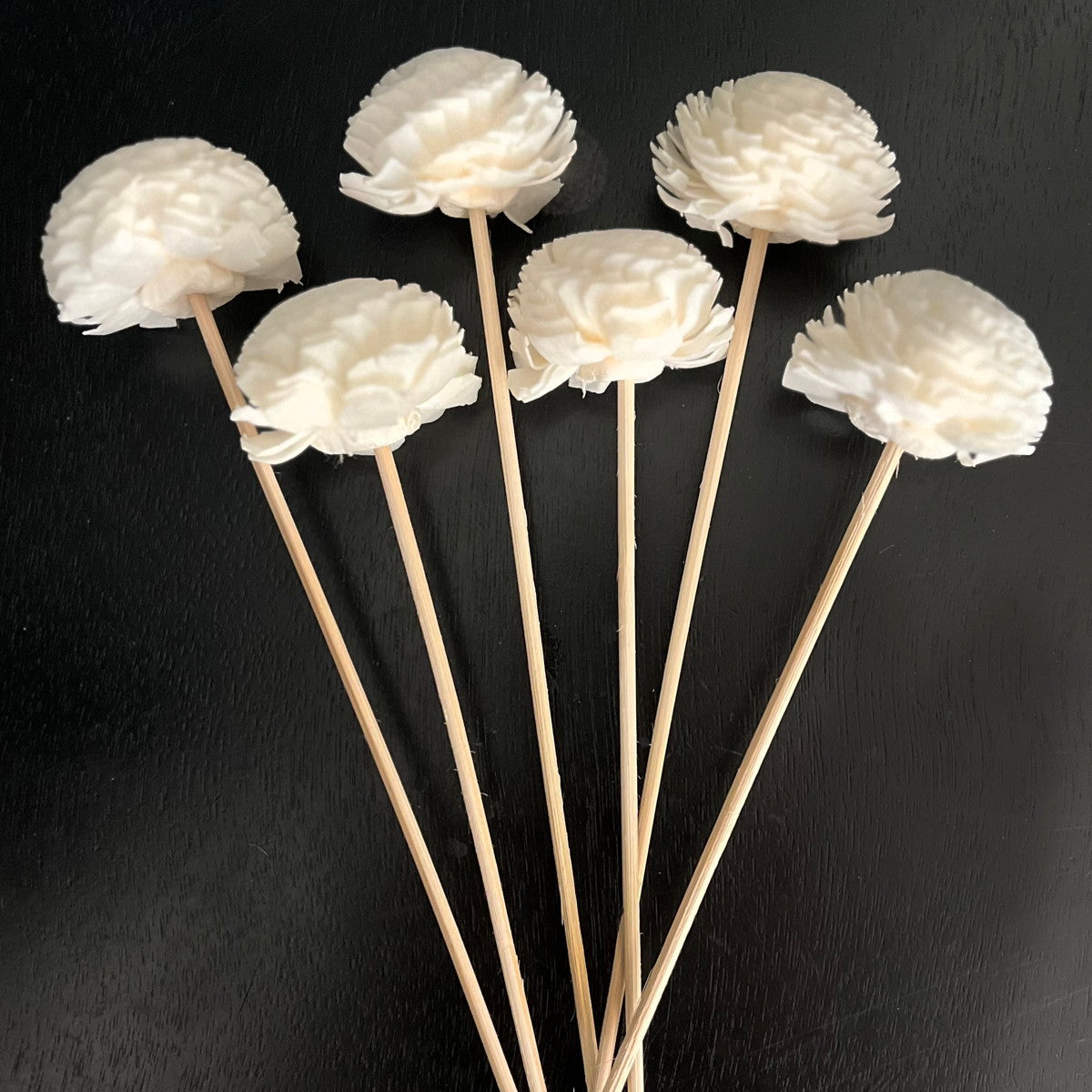 Rattan Reed Rose – MAD SWANZ